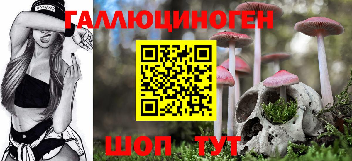 Нарьян-Мар  Псилоцибиновые грибы Psilocybe  Вход с VPN 