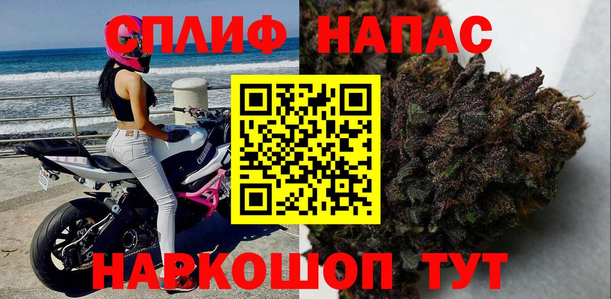 Конопля индика Нарьян-Мар